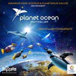 Tarif ticket visite planet Ocean World