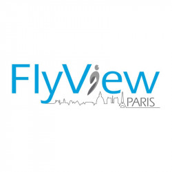 Flyview Paris simulateur survol Paris