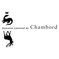 14,00€ ticket visite Château de Chambord moins cher avec Accès CE
