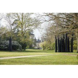 Tarif visite Château  Chaumont sur Loire moins cher à 16,00€ avec Accès CE